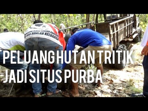 Video: Sebuah Jalan Kuno Ditemukan Di Azov, Dilapisi Dengan Tulang Binatang - Pandangan Alternatif