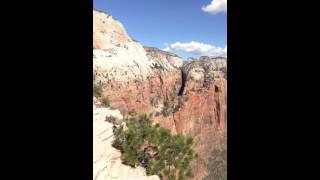 IMG 0773