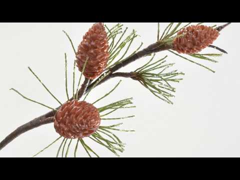Video: Mini Woodland Cakes Na May Nakakain Na Pinecones