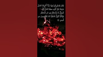 #ايات_قرانيه_قصيره #عاصم_الهوساوي #تلاوة_خاشعة #مزامير_آل_داود #صلاة_التراويح #آيات #اكسبلور