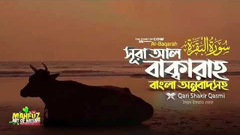 সূরা আল বাক্বারাহ | سورة البقرة Surah Al Baqarah | Full বাংলা অনুবাদ