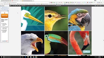 Lesson 10: Listening and Speaking-Wings and Feathers, part 1