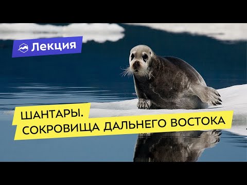 Шантары. Сокровища Дальнего Востока