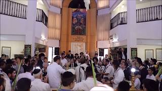 זלמן שטוב - הלל סוכות 2018 | Zalman Stub - Hallel