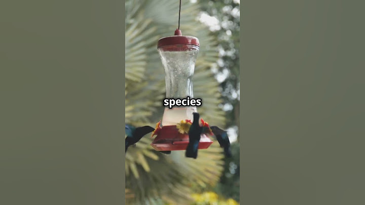 Transform Your Bird Feeding with Premium calci-worms #birds #reptiles #fish #birdfeeder #amazon