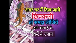शरीर पर गिर जाये छिपकली तो क्या करें जानें शकुन और अपशकुन Lizard