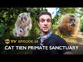 Endangered Gibbon &amp; Slow Loris Sanctuary Experience in Vietnam