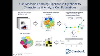 Basics in Cytobank screenshot 3