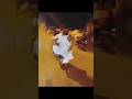Motorcycle monkey...one-wheeled love #monkeyplayful#cute baby monkey #monkeyfunnyvideo #motivation