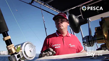 Quali sono i sistemi di pesca in mare?