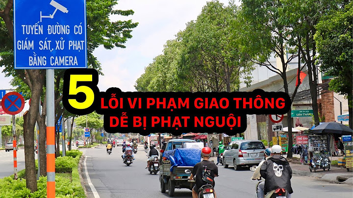 Lỗi vi phạm luật giao thông đường bộ năm 2024