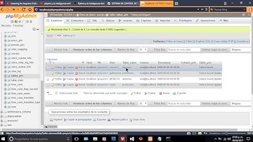 MySQL y Visual Studio, privilegios