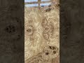 Корень оливкового ясеня под глянцем. Эксклюзивная мебель ручной работы. #производствомебели