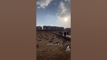عبدالرحمن مسعد - سورة العنكبوت