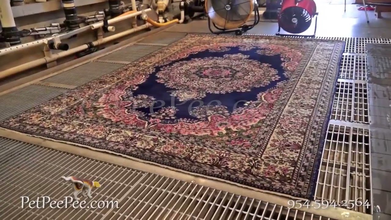 Oriental rug PetPeePee odor removal Guarantee!!!