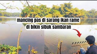 Di bikin sibuk sambaran oleh segerombolan ikan rame|| Ep. 86||mancing mania