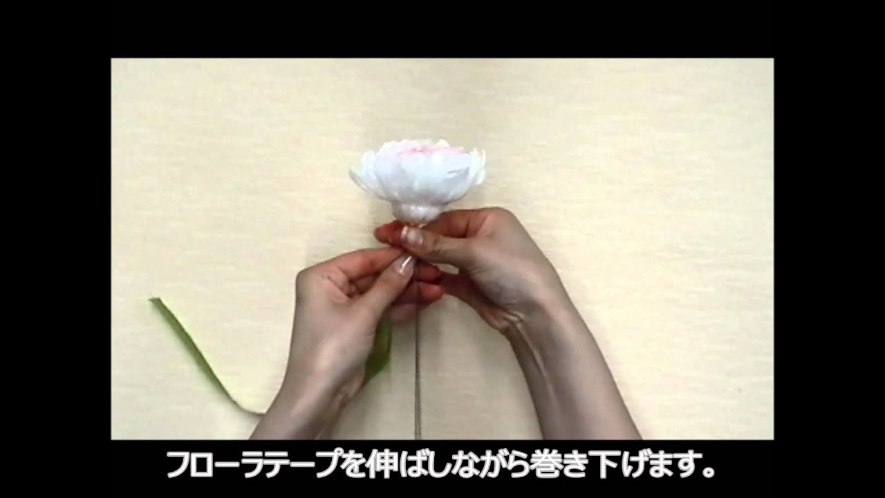 プリザーブド 輪菊の開花 ワイヤリング方法 Youtube