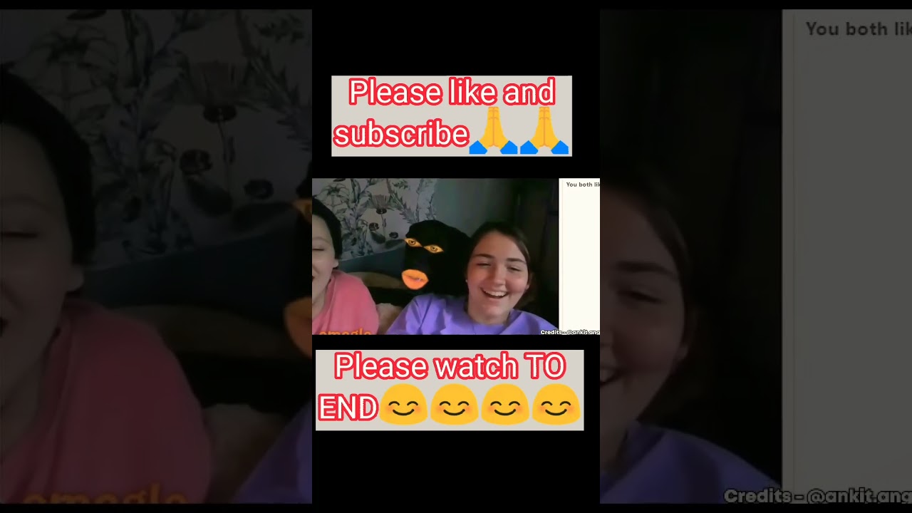 3Dogs are so Beautiful😁😁omegal funny videos