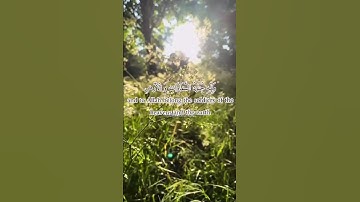 |هُوَ الَّذِي أَنزَلَ السَّكِينَةَ فِي قُلُوبِ الْمُؤْمِنِينَ|من #سورة #الفتح| #عبدالرحمن مسعد