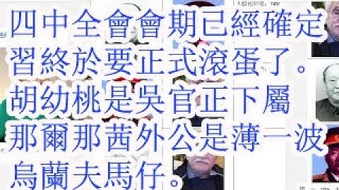 四中全会的会期已经确定，习近平终于要正式滚蛋了。胡幼桃大秘林彬杨是吴官正外甥汪德和下属。那尔那茜的外公是薄一波乌兰夫马仔。