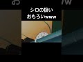 気合いの入った野原一家とぬいぐるみ扱いされるシロwww♯クレヨンしんちゃん♯シロ♯野原一家