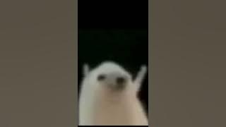 Ahmad Mohsen hedgehog extended version #ahmadmohsen #ahmad #mohsen #hedgehog #meme #memehedgehog