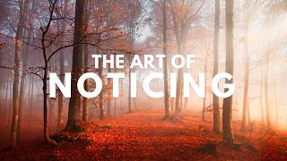 The Art Of Noticing in Photography