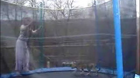 Video 11827211: bengal cat playing