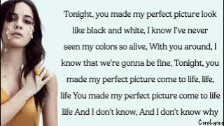 Bea Miller - Picture Perfect (lyrics)
