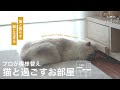 【徹底ビフォーアフター】おしゃれに猫と共存するライフスタイルを実現 | 出張!LOWYAでお部屋づくり Vol.7