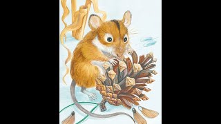 Для Самых Маленьких И Постарше. Мышка Алексей Толстой Сделано В Clipchamp