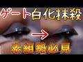 プラモデルの白化跡を綺麗にする方法解説