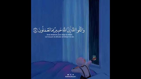 الشيخ احمد النفيس سورة الحشر💙🦋
