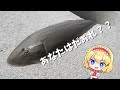 【ゆっくり実況】河口の食材で寿司握ってみた【ゆっくり料理】【ゆっくり解説】