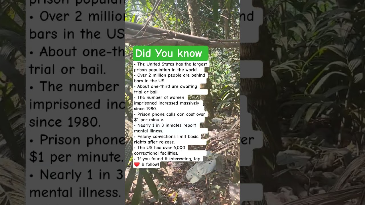 Shocking Prison System Facts