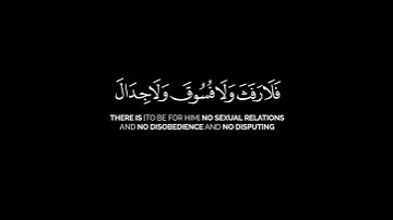 الحج أشهر معلومات شاشة سوداء | القارئ أبو بكر الشاطري سورة البقرة #كرومات_قرآن