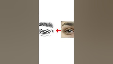 Drawing Realistic Eyes in Vector Art | Speed Art #shorts