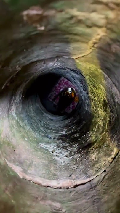 #Varanasi #kashi #bholenath #mahadev #kashivishwanath #kashivishwanathcorridor @varanasi bhaukal