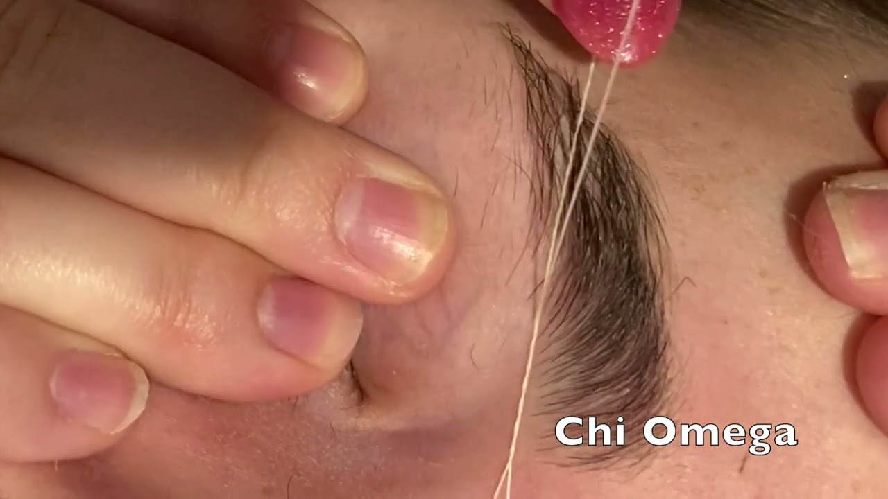 Amazing brows with Ziba! #21