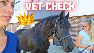 Vet check for QueenUniek again. We go to the vet | Friesian Horses