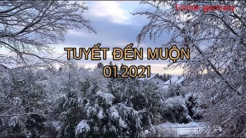 Tuyết rơi, tuyết rơi mùa đông, mùa đông ở Đức có gì đặc biệt