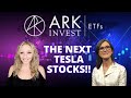 ARK Invests Next Tesla?! Cathie Wood's Clone for Huge Returns! Buy Now for 2021?!