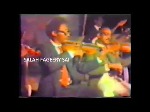 محمد وردي يا راجياني