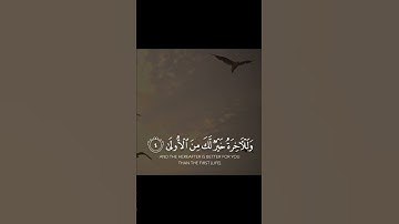🌺سورة الضحى القارئ/وديع اليمني🌺🌺
