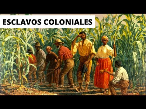 WHAT WAS the LIFE of a SLAVE LIKE in COLONIAL TIMES?