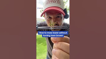 How to lower your grass height: avoid this one mistake!