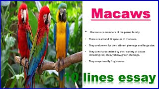 Macaws || 10 lines on Macaws || 10 lines essay on Macaws