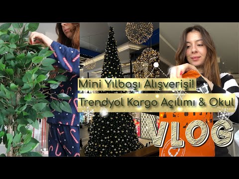 ARALOG | mini yılbaşı alışverişi, trendyol kargo açılımı, okul & benimle birkaç gün!