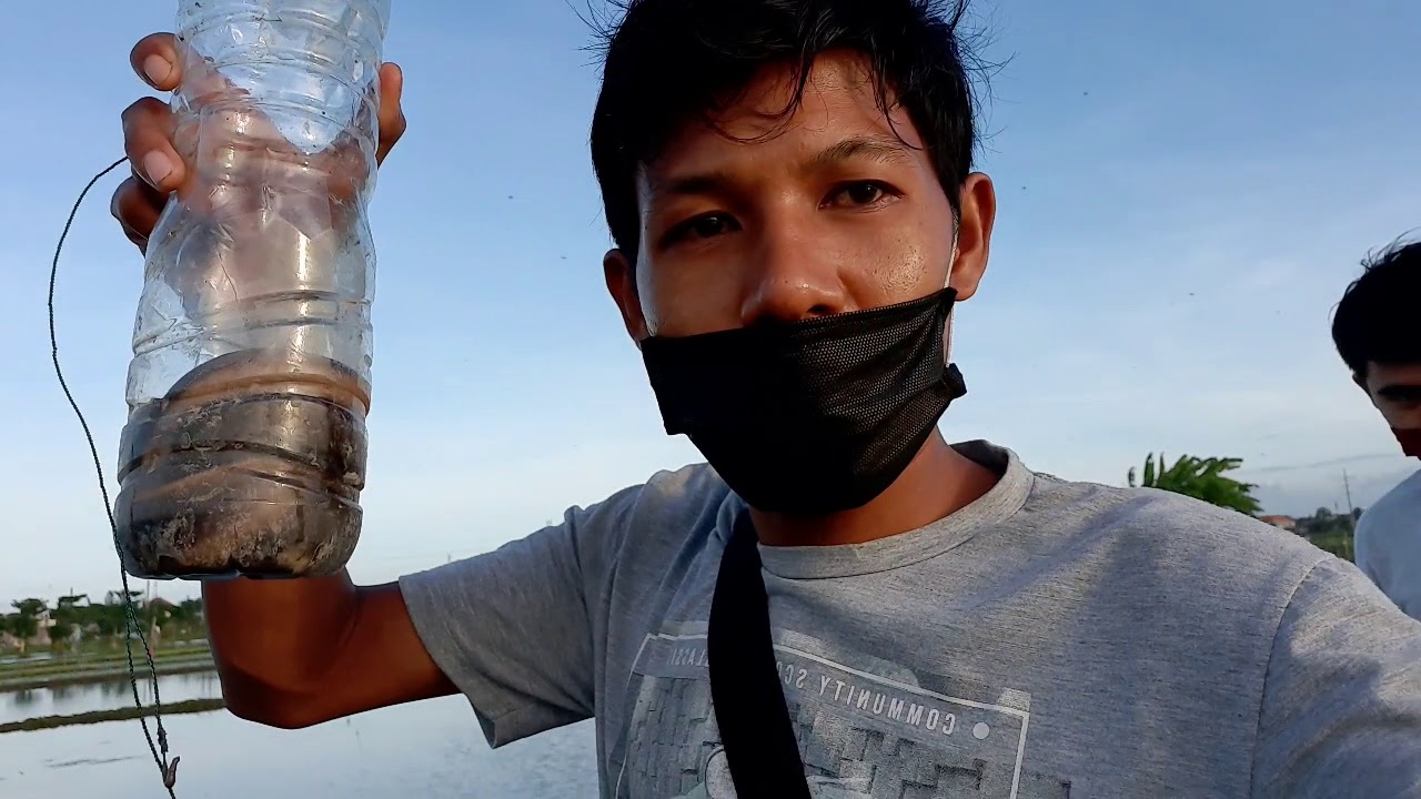 Mancing Belut#Bali 