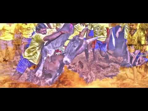 alaporan-tamizhan-ulagam---a-tribute-to-tamil-nadu-/-jallikattu-version